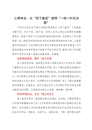 心得体会：从“四下基层”感悟“一枝一叶总关情”.docx