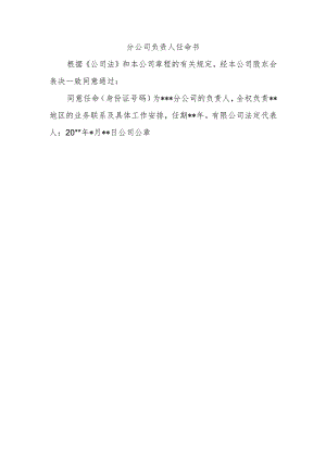 分公司负责人任命书.docx