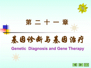 第21章基因诊断与基因治疗修改.ppt