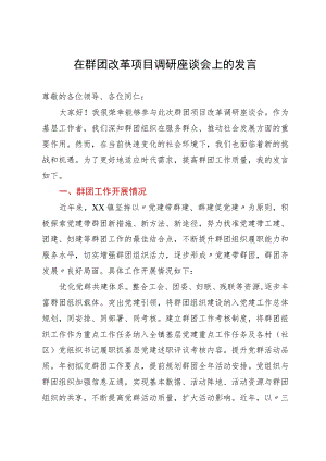 在群团改革项目调研座谈会上的发言.docx