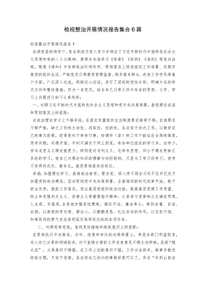 检视整治开展情况报告集合6篇.docx