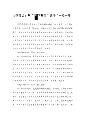 2023年领导干部“四下基层”个人学习心得体会感想领悟3篇.docx