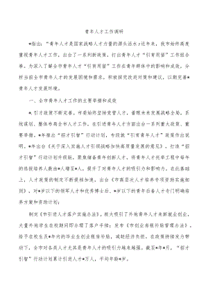 青年人才工作调研.docx