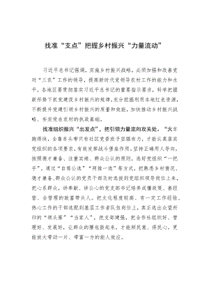 找准“支点”把握乡村振兴“力量流动”.docx