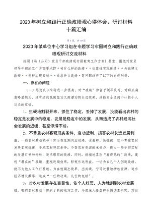 2023年树立和践行正确政绩观心得体会、研讨材料十篇汇编.docx