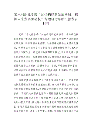 某水利职业学院“加快构建新发展格局把握未来发展主动权”专题研讨总结汇报发言.docx