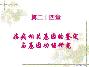 第24章疾病相关基因的鉴定与基因功能研究.ppt