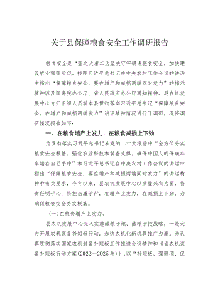 关于县保障粮食安全工作调研报告.docx