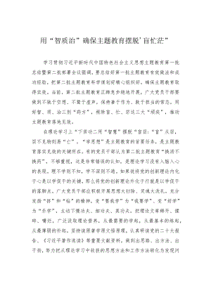 用“智质治”确保主题教育摆脱“盲忙茫”.docx