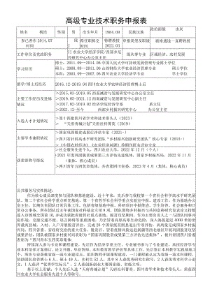 高级专业技术职务申报表.docx