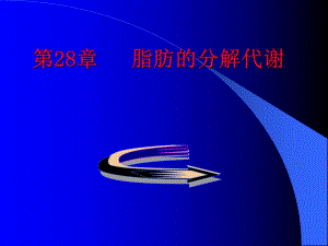 第28章脂肪酸的分解代谢.ppt