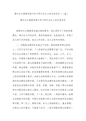 镇长在主题教育集中学习研讨会议上的交流发言(二篇).docx