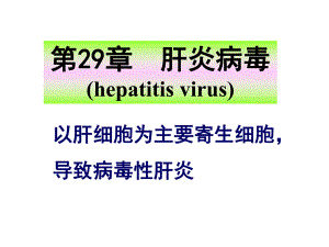第28章肝炎病毒.ppt