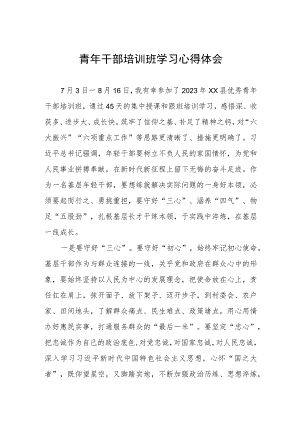2023年青年干部培训班心得体会.docx