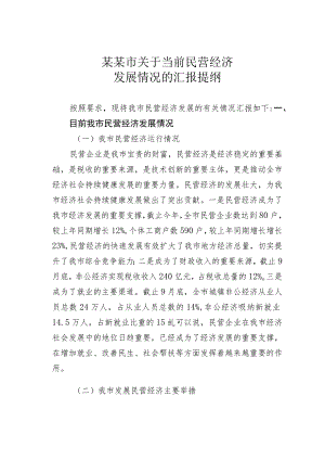 某某市关于当前民营经济发展情况的汇报提纲.docx