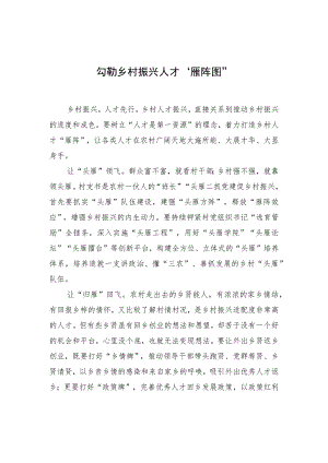 勾勒乡村振兴人才“雁阵图”.docx