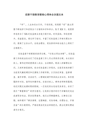 巡察干部教育整顿心得体会多篇文本.docx