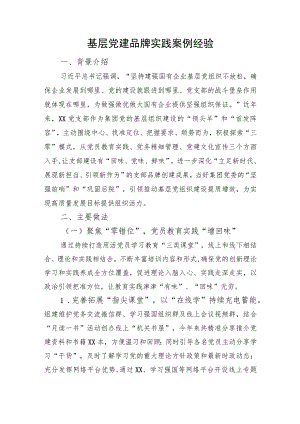 基层党建品牌实践案例经验.docx