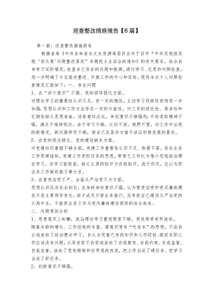 巡查整改措施报告【6篇】.docx