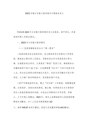 2023年镇乡村振兴推进情况专题报告范文.docx