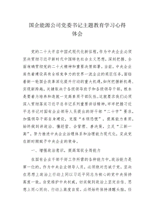 国企能源公司党委书记主题教育学习心得体会.docx