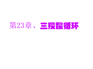 第23章三羧酸循环名师编辑PPT课件.ppt