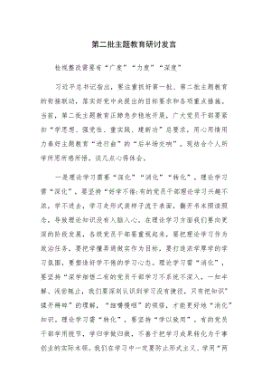 第二批主题教育研讨发言参考范文.docx