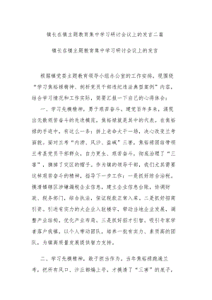 镇长在镇主题教育集中学习研讨会议上的发言二篇.docx