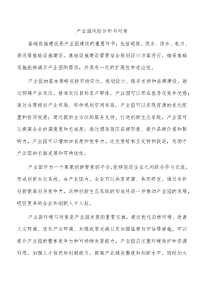 产业园风险分析与对策.docx
