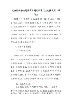 党支部班子主题教育专题组织生活会对照发言2篇范文.docx