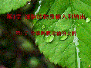 第1节物质跨膜运输的实例课件.ppt