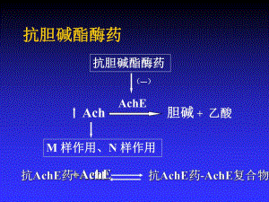 第2章2传出神经系统药物.ppt