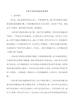 年轻干部培养选拔机制调研.docx