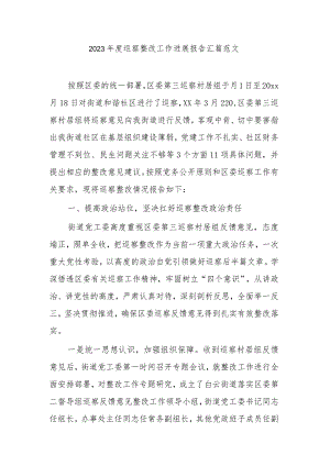 2023年度巡察整改工作进展报告汇篇范文.docx