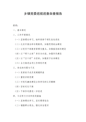 乡镇党委巡视巡查自查报告.docx