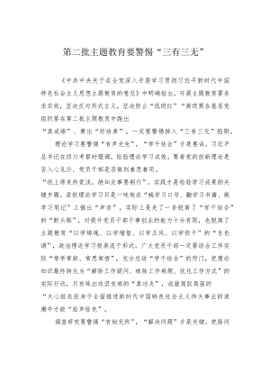 第二批主题教育要警惕“三有三无”.docx