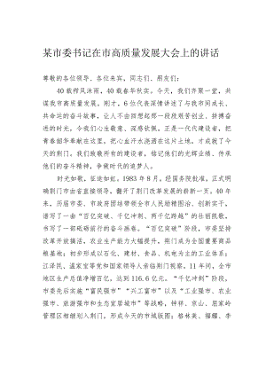 某市委书记在市高质量发展大会上的讲话.docx