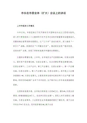 市长在市委全体（扩大）会议上的讲话.docx