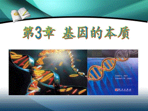 第1节DNA是主要的遗传物质.ppt