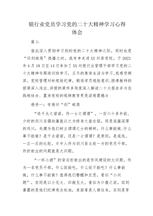 银行业党员学习党的二十大精神学习心得体会.docx