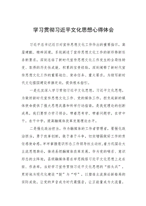 学习全国宣传思想文化工作会议精神心得体会(八篇).docx