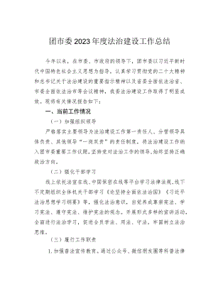 团市委2023年度法治建设工作总结.docx