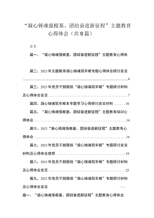 2023“凝心铸魂强根基、团结奋进新征程”主题教育心得体会【九篇】.docx