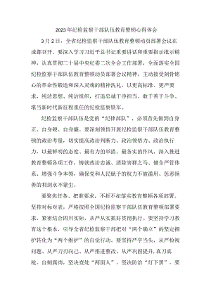 新版全市2023年纪检监察干部队伍教育整顿心得体会 合计10份.docx