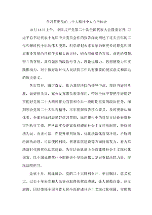 法院基层工作员《学习宣传贯彻党的二十大精神》心得体会 合计4份.docx