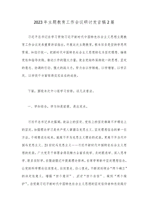 2023年主题教育工作会议研讨发言稿2篇.docx