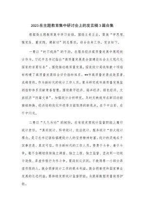 2023在主题教育集中研讨会上的发言稿3篇合集.docx