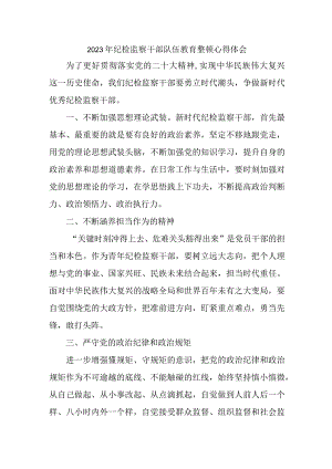 应急管理局2023年纪检监察干部队伍教育整顿个人心得体会 （合计7份）.docx