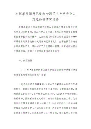在巡察反馈意见整改专题民主生活会个人对照检查情况报告.docx