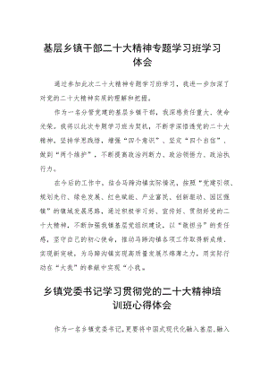 基层乡镇干部二十大精神专题学习班学习体会（3篇）.docx